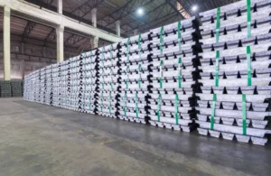 Photo Offer 2 300x195